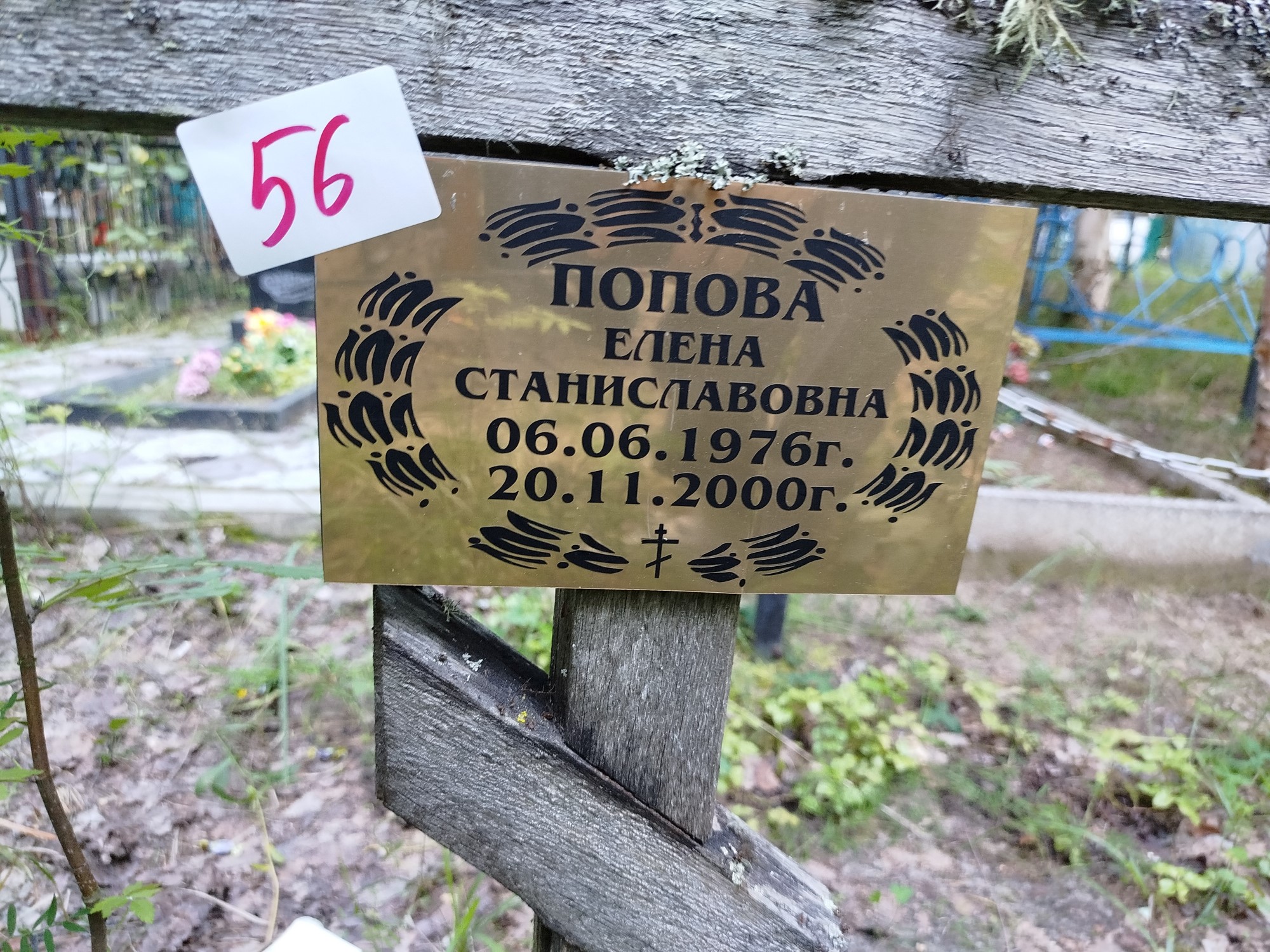 Попова Елена Станиславовна