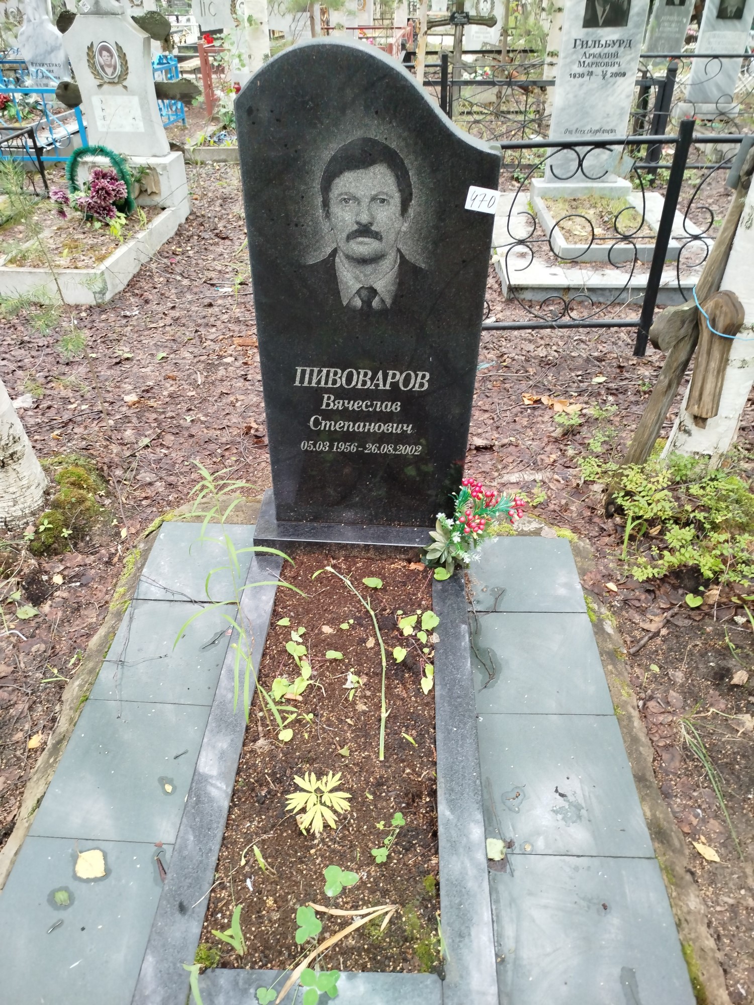 Пивоваров Вячеслав Степанович