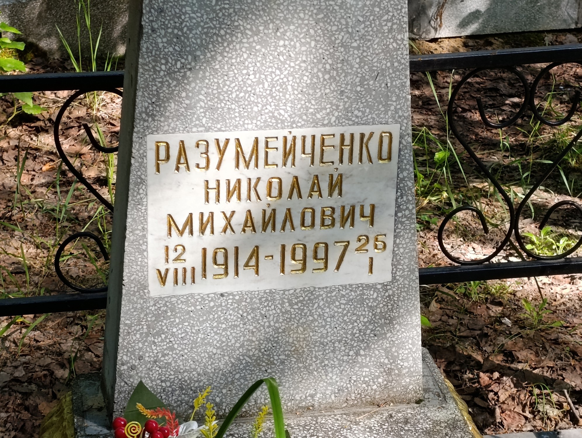 Разумейченко Николай Михайлович