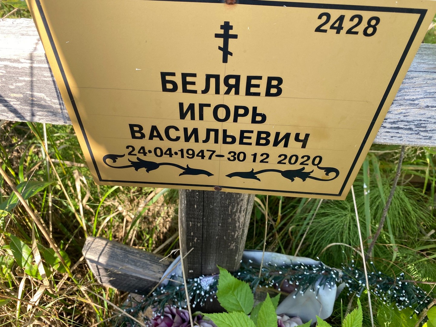 Беляев
