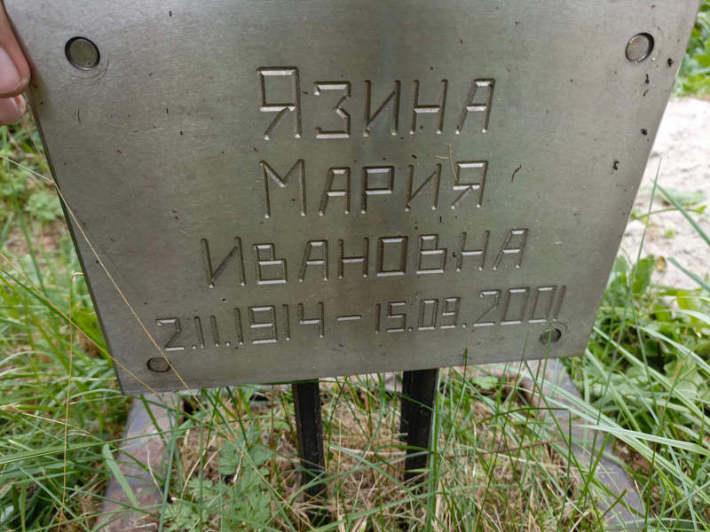 Язина