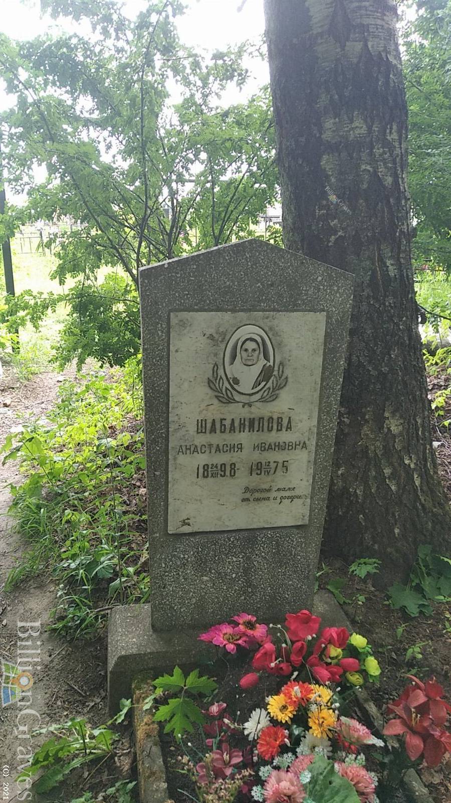 Шабанилова Анастасия Ивановна