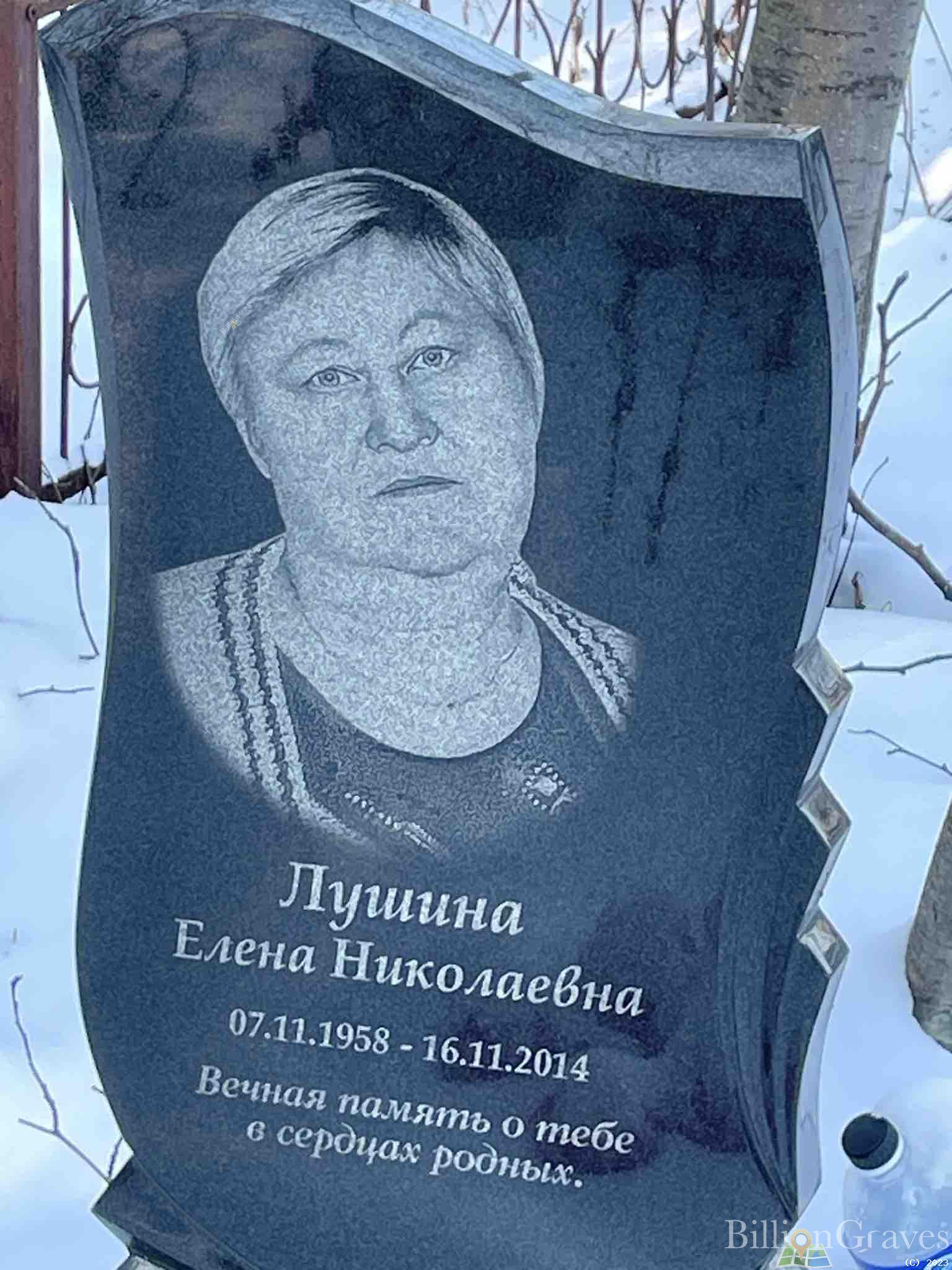 Лушина Елена Николаевна