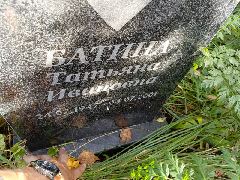 Батина