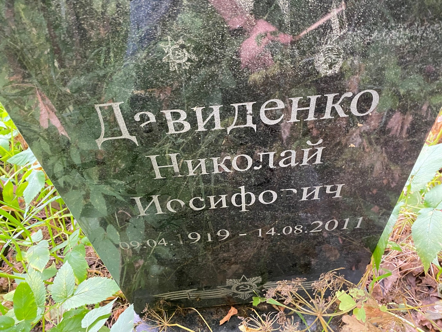 Давиденко