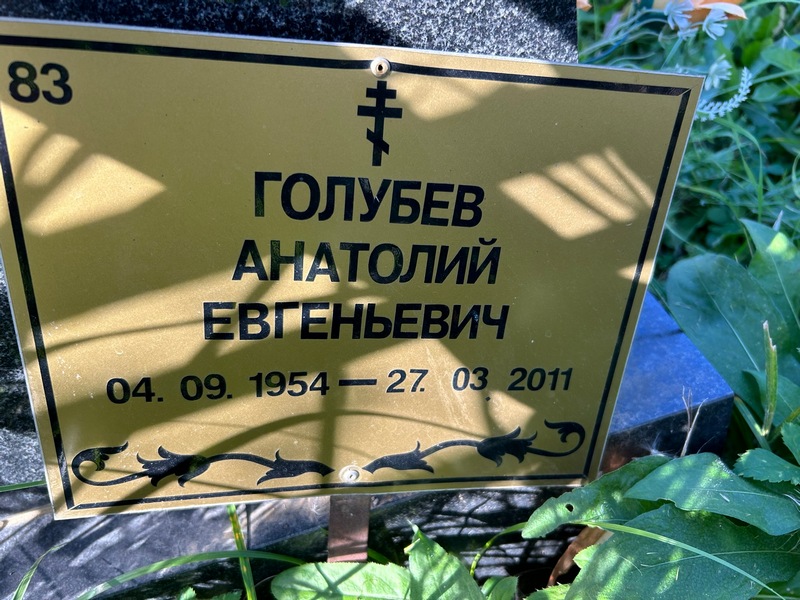 Голубев