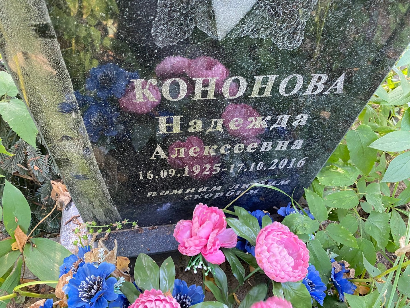 Кононова