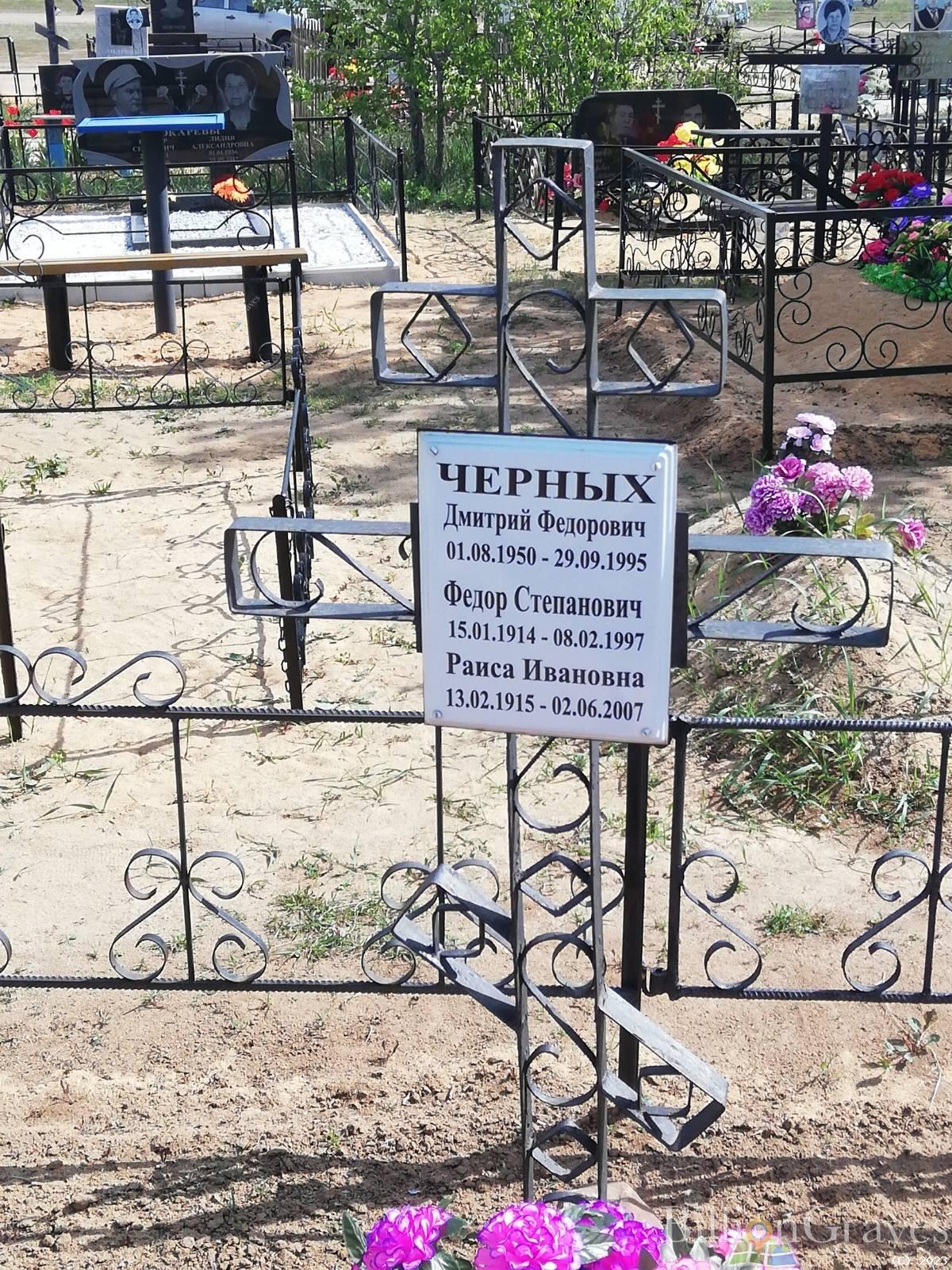 Черных Дмитрий Федорович
