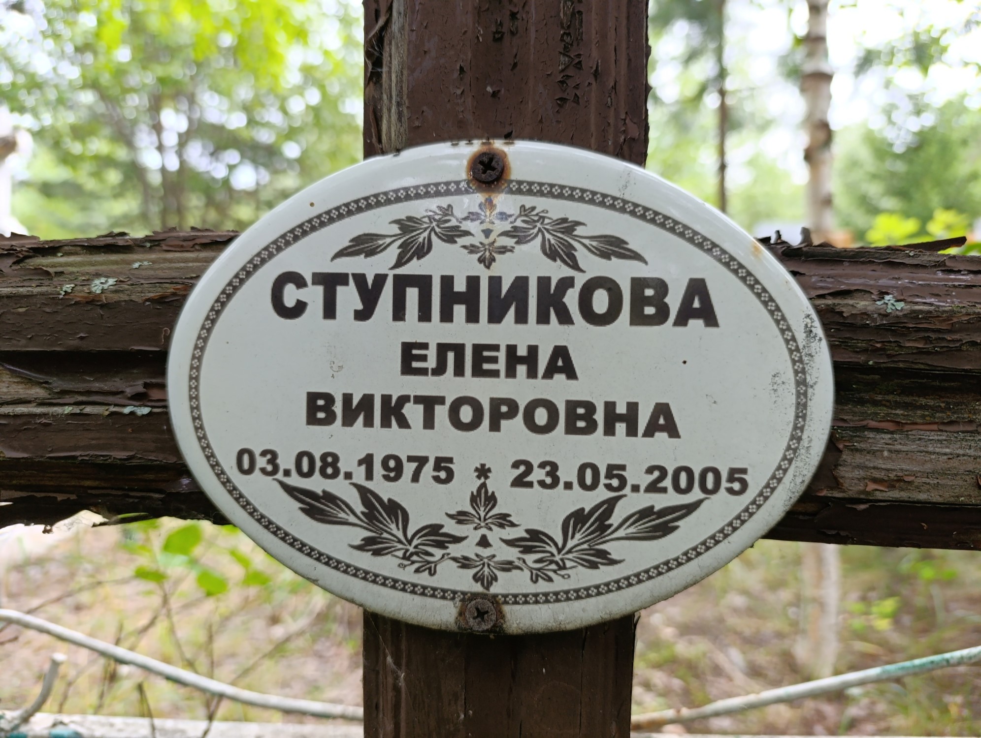Ступникова Елена Викторовна