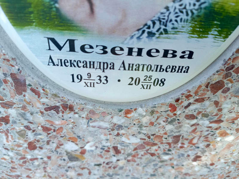 Мезенева Александра Анатольевна
