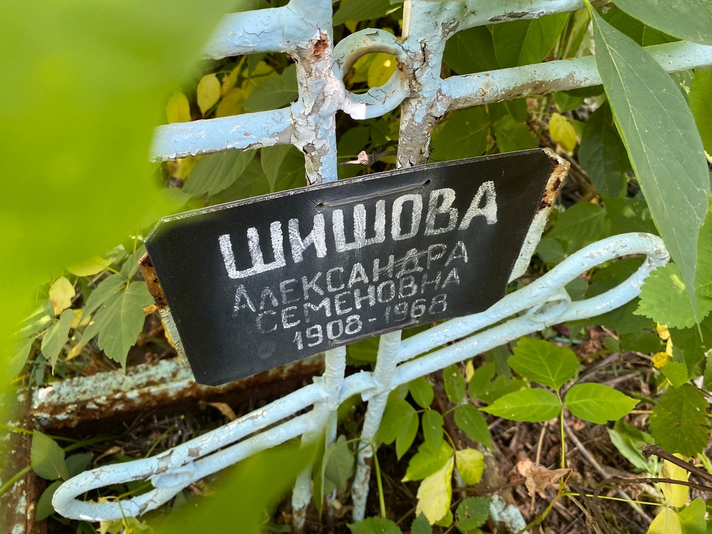 Шишова Александра Семеновна