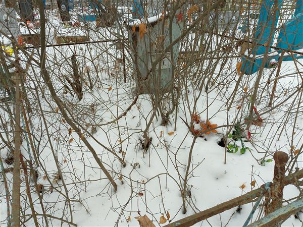Задорин Григорий Игнатьевич
