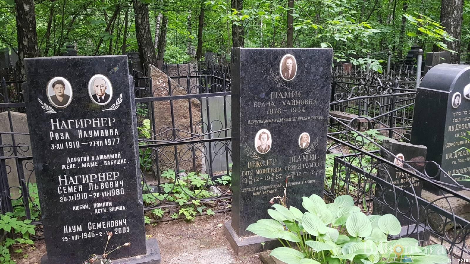 Векслер гитя Моисеевна