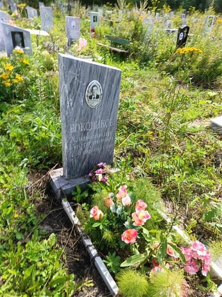 Боковиков Александр Георгиевич