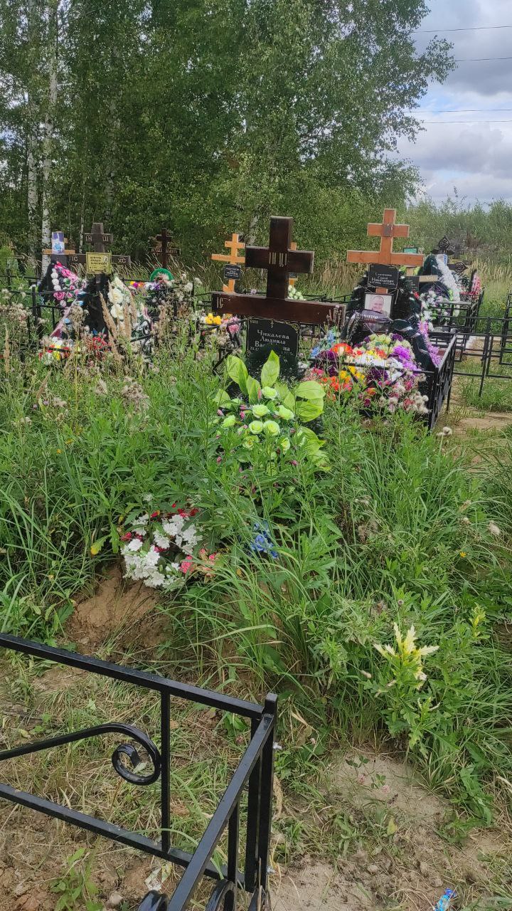 Чикалева