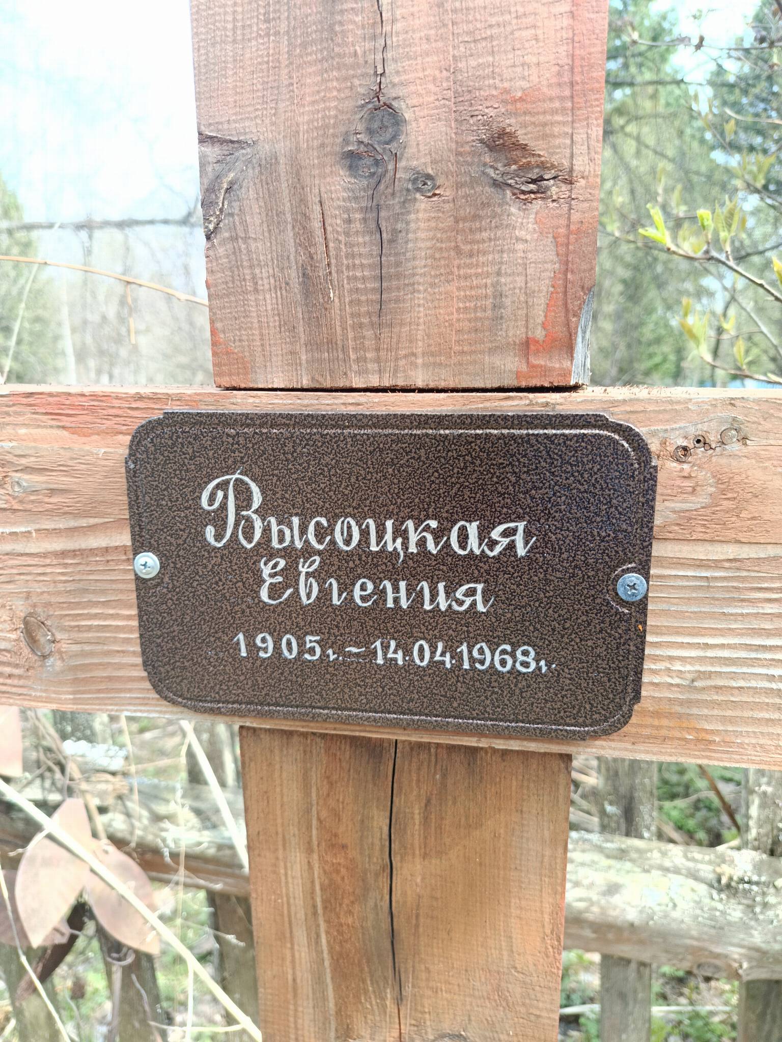 Высоцкая Евгения