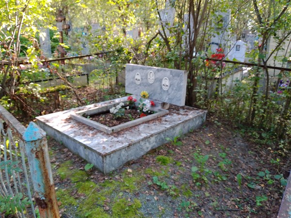 Дружинин Владимир Михайлович