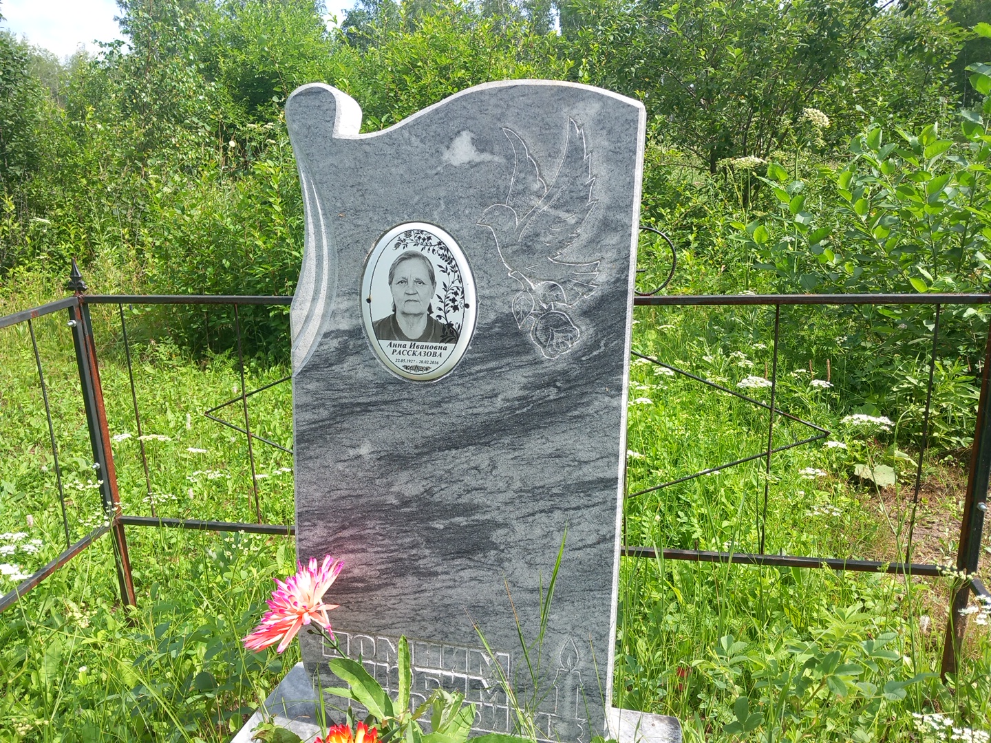 Рассказова Анна