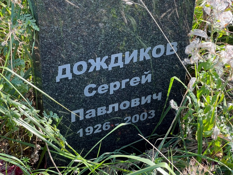 Дождиков