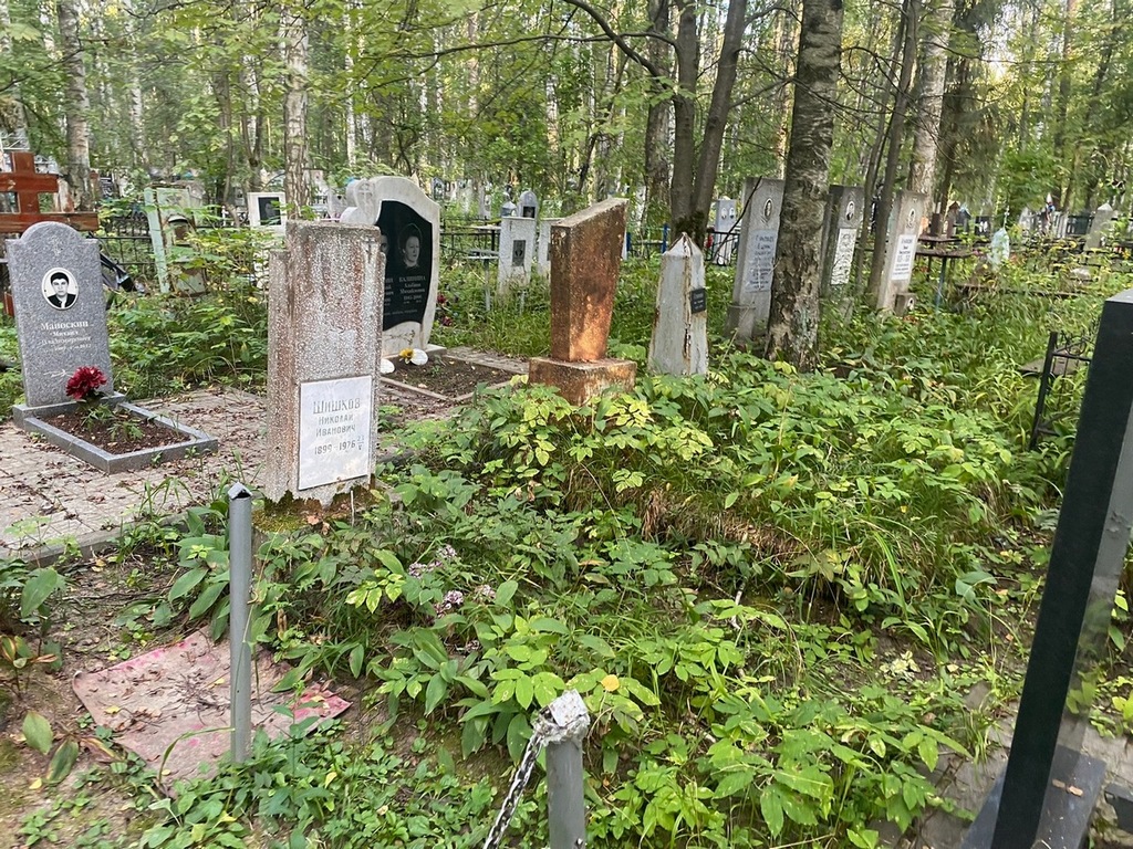 Шишков Николай Иванович