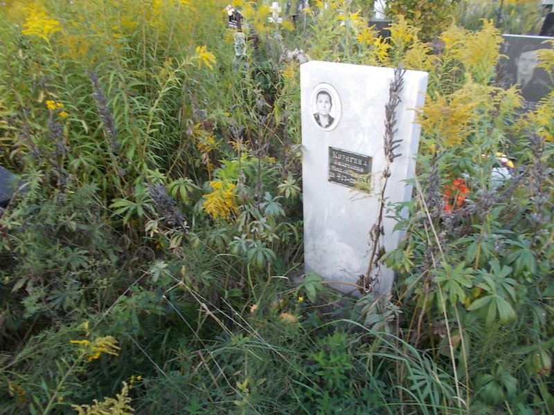 Корягина Анастасия Михайловна