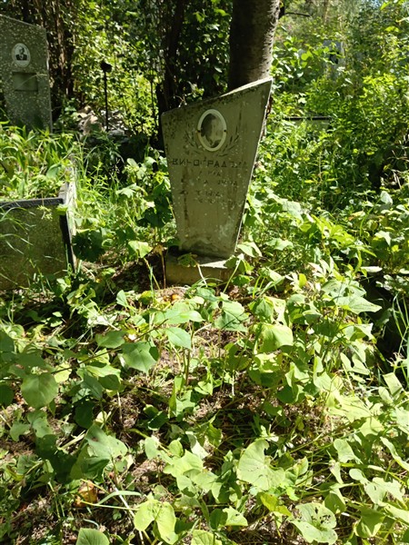 Виноградова Анна Степановна
