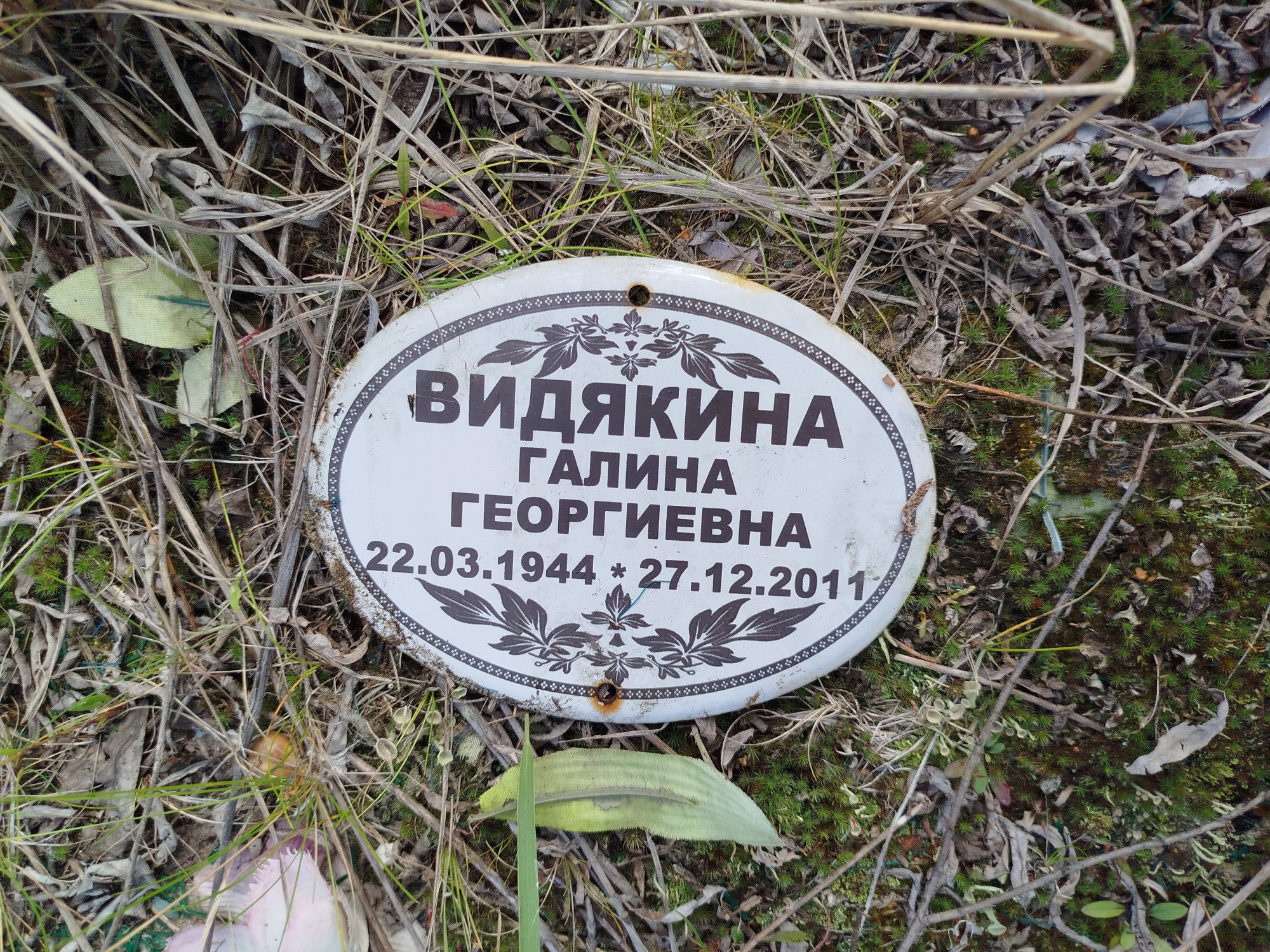 Видякина Галина Георгиевна