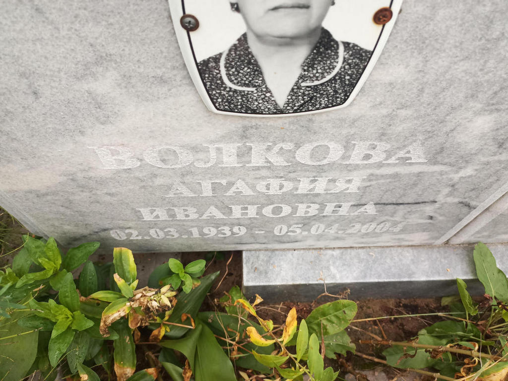 Волкова Агафия Ивановна