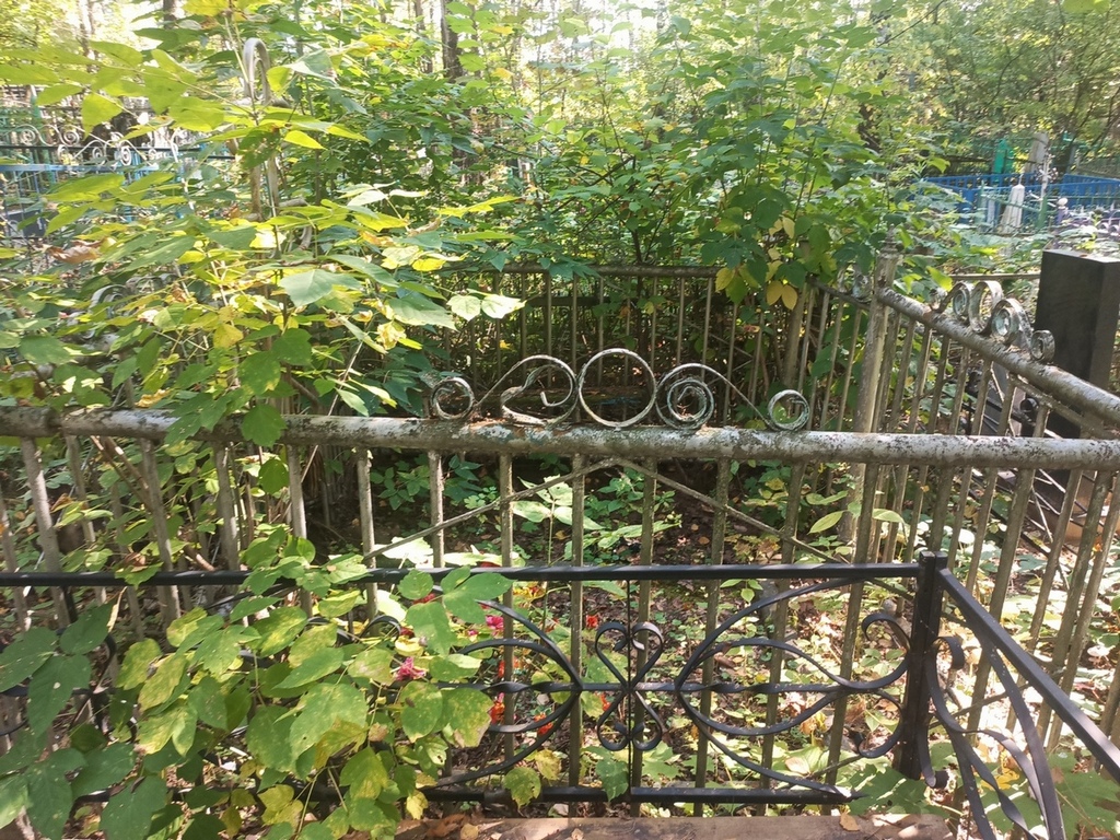 Ляпин Модест Александрович