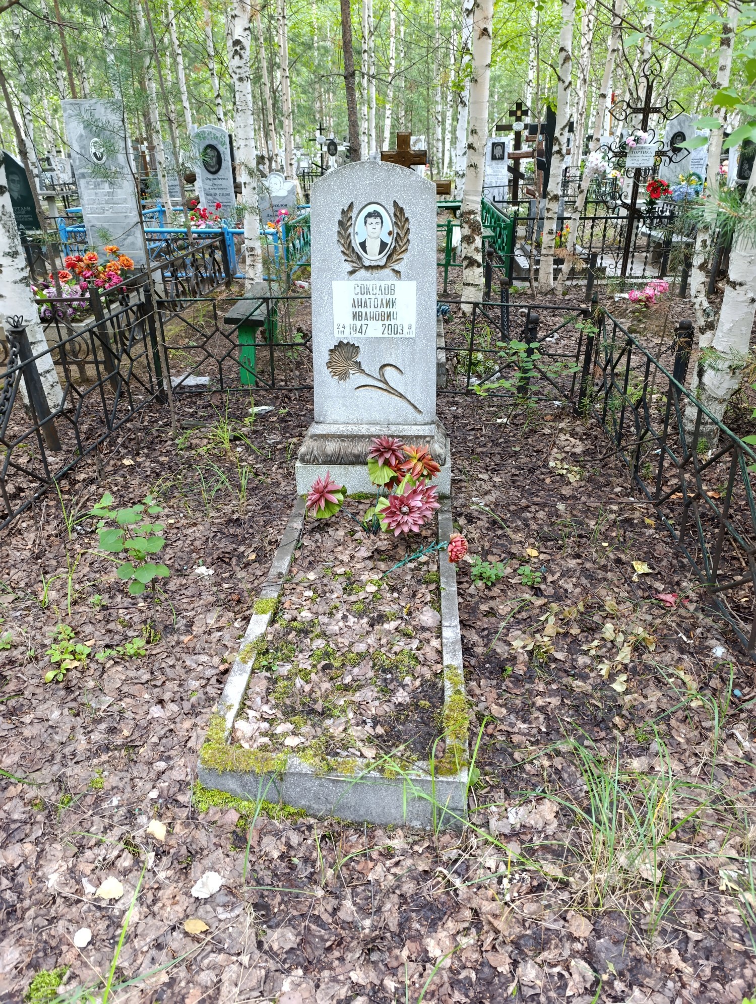 Соколов Анатолий Иванович