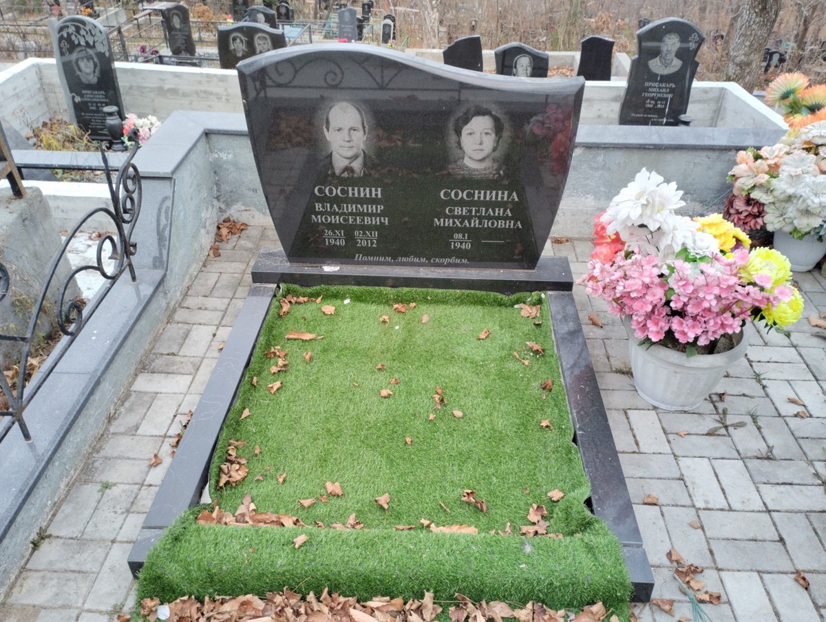 Соснин Владимир Моисеевич