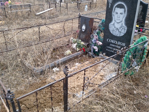 Соколов Дмитрий Александрович