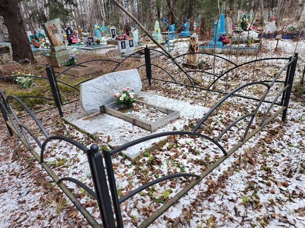 Шабуров Николай Мифодьевич