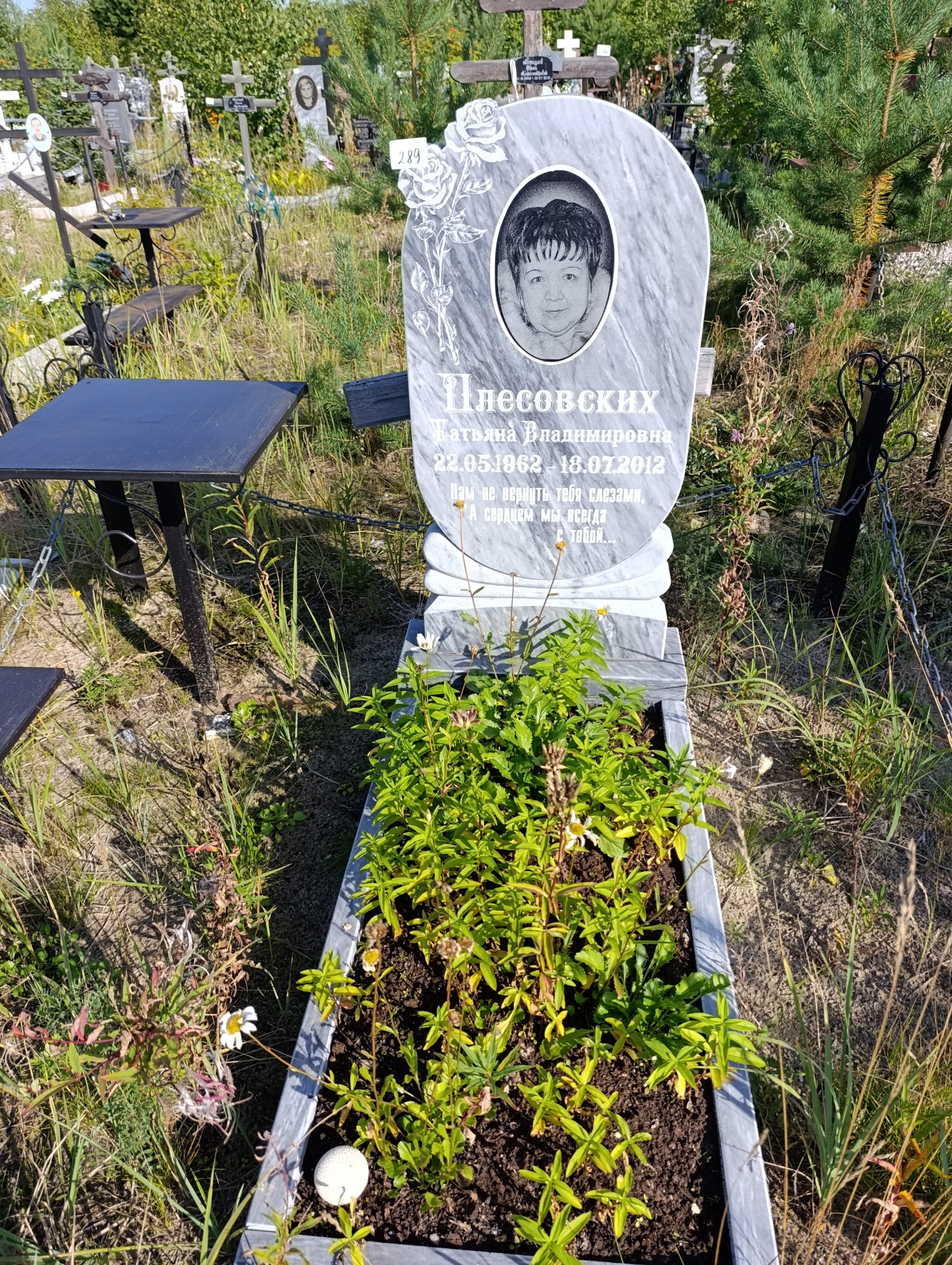 Плесовских Татьяна Владимировна
