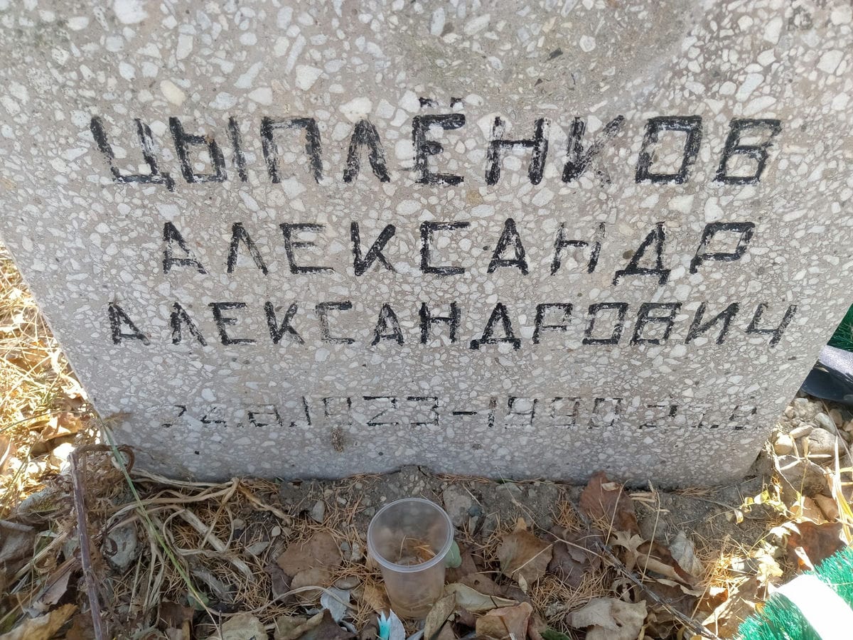 Цыпленков Александр Александрович