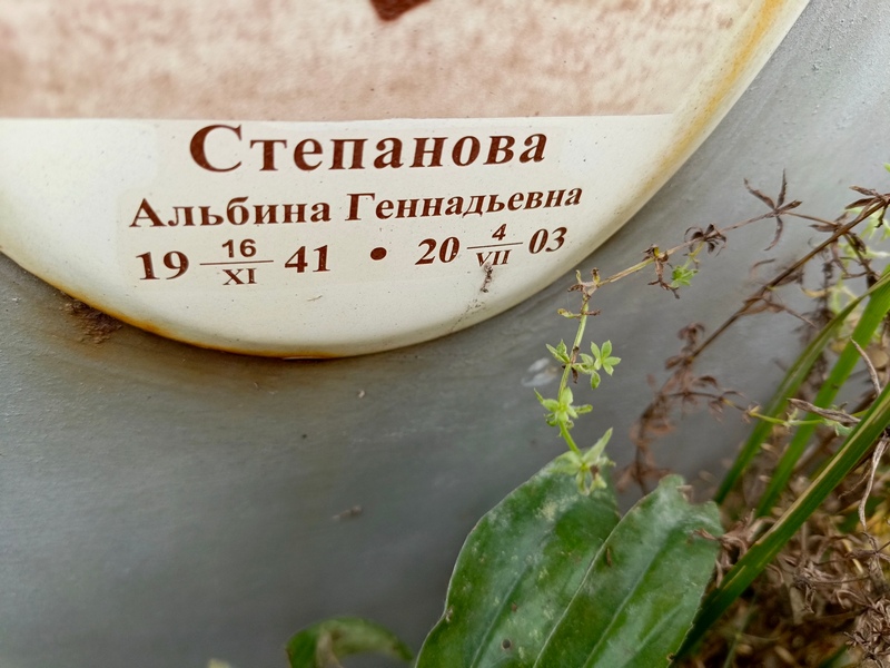 Альбина Степанова Геннадьевна