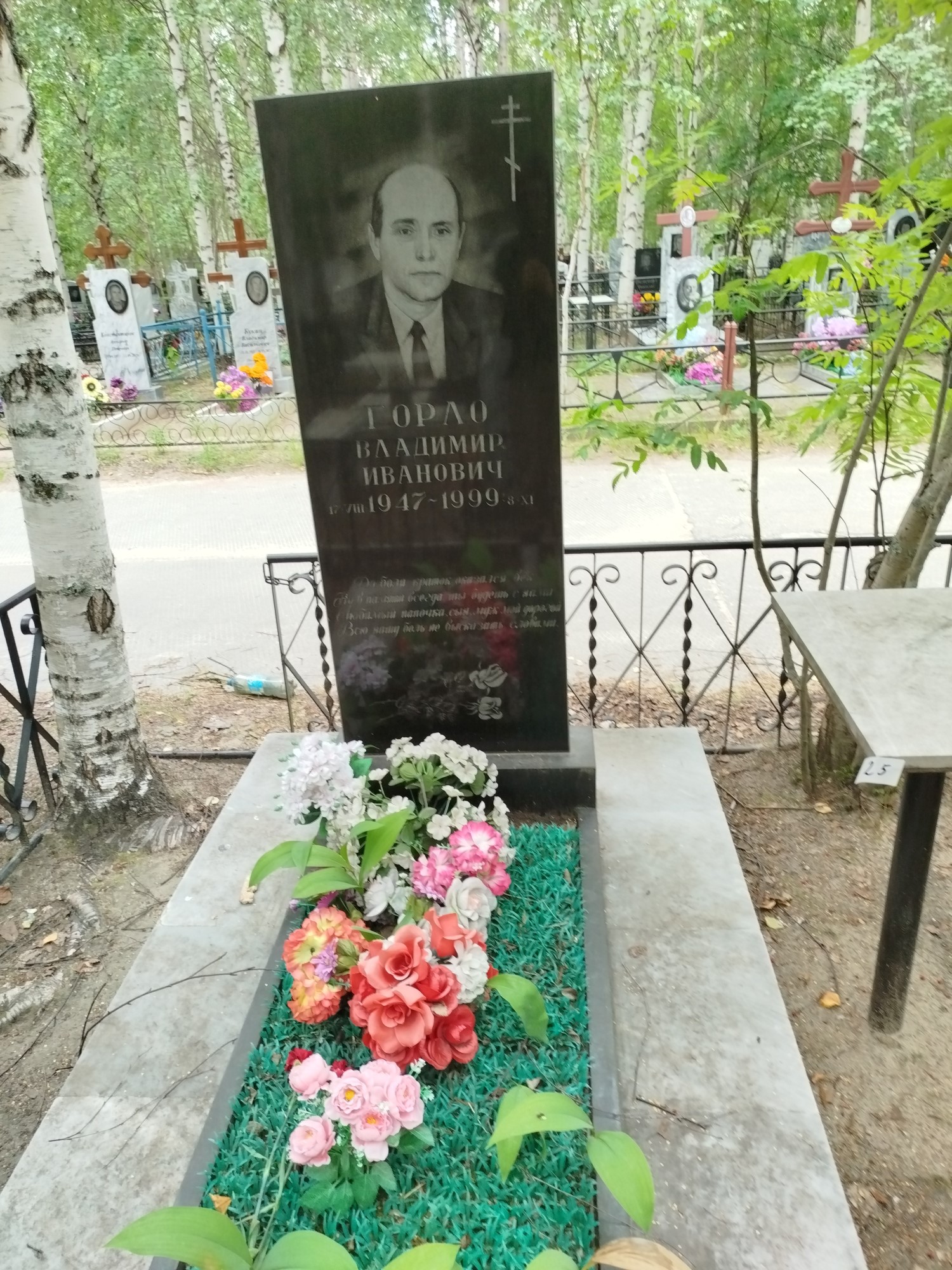 Горло Владимир Иванович