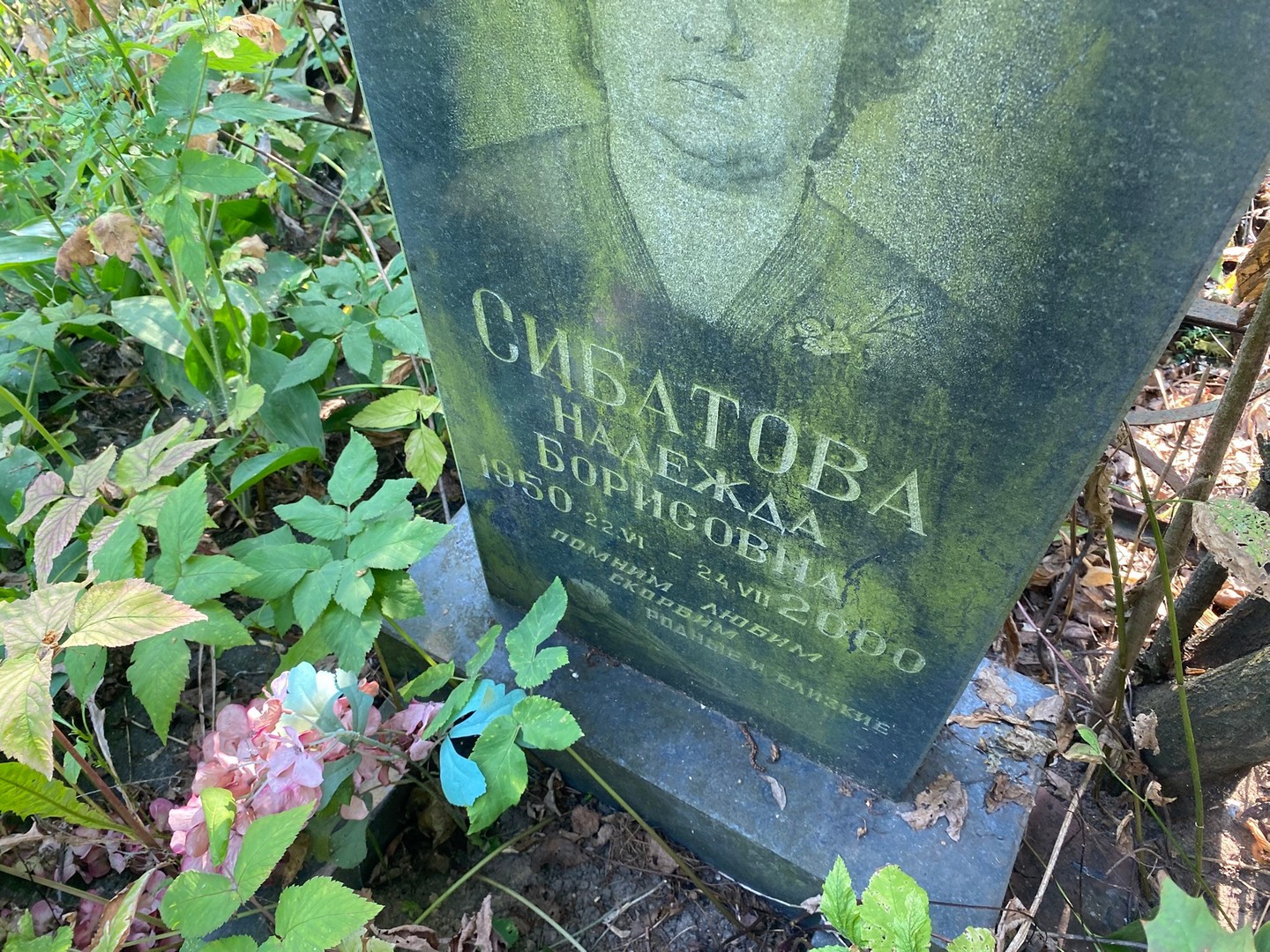 Сибатова