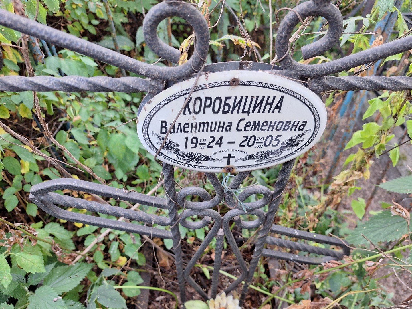 Коробицина
