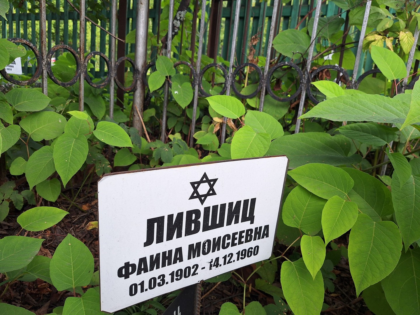 Фаина Лившиц Моисеевна