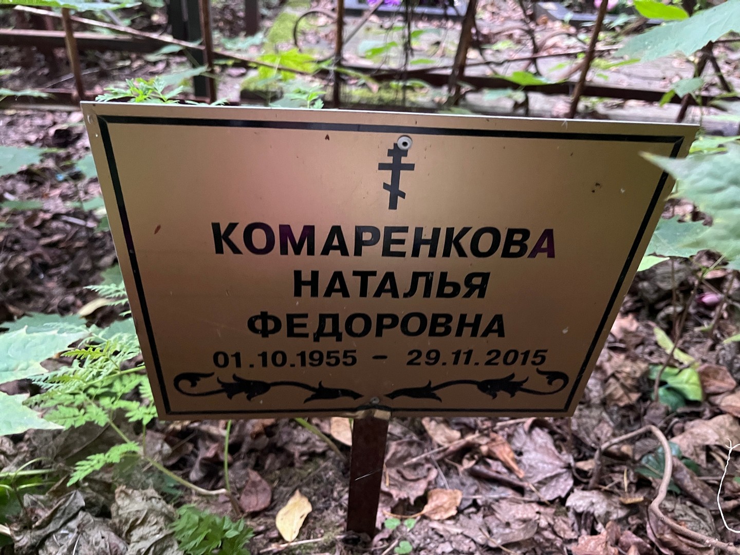 Комаренкова