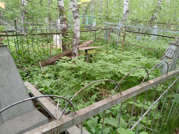 Притульчик Людмила Григорьевна