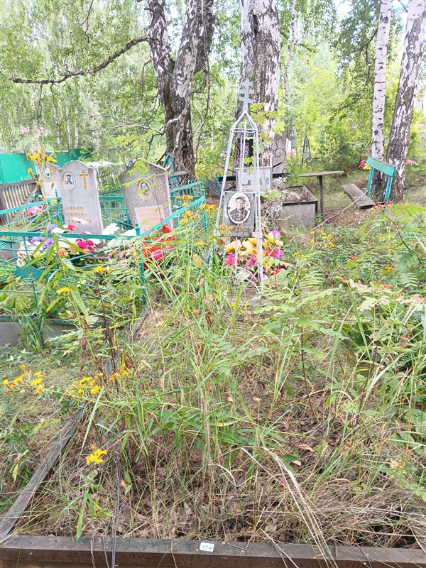 Даринцева Анна Кузьмовна