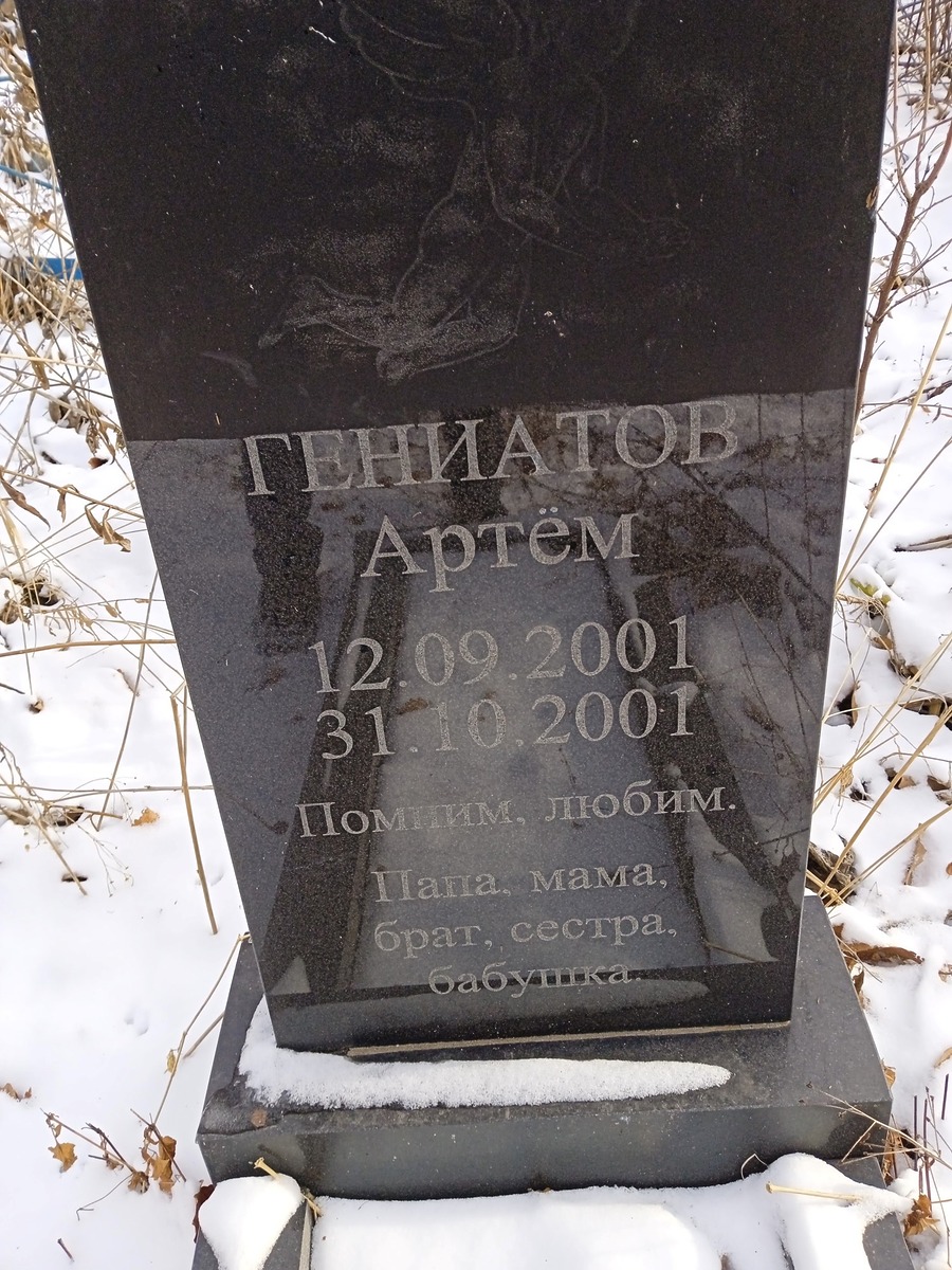 Гениатов Артём