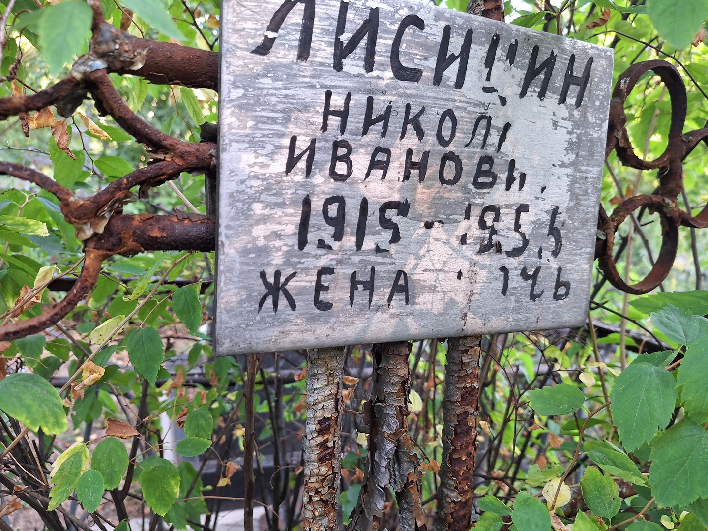 Лисицин