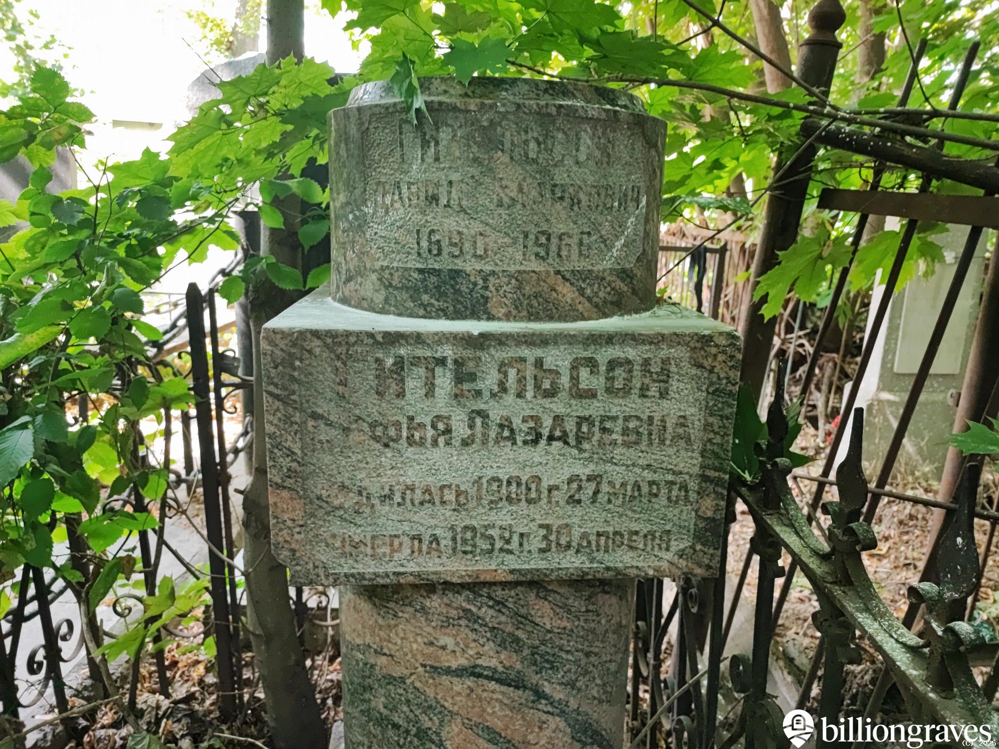 Гительсон Софья Лазаревна