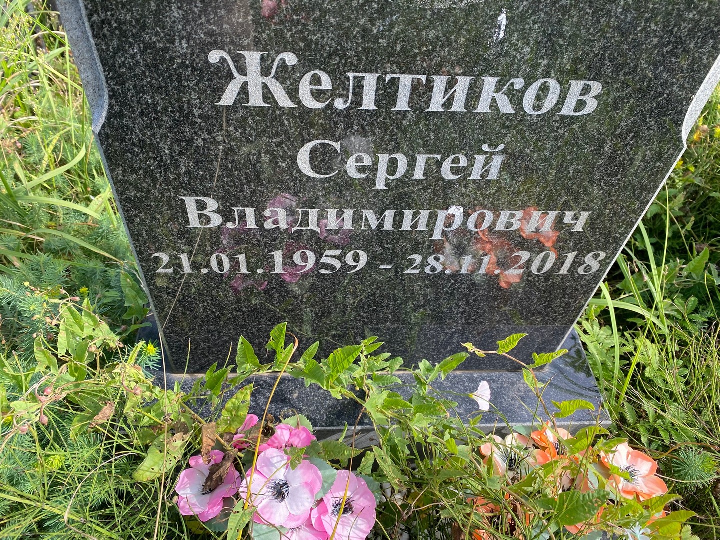 Желтиков