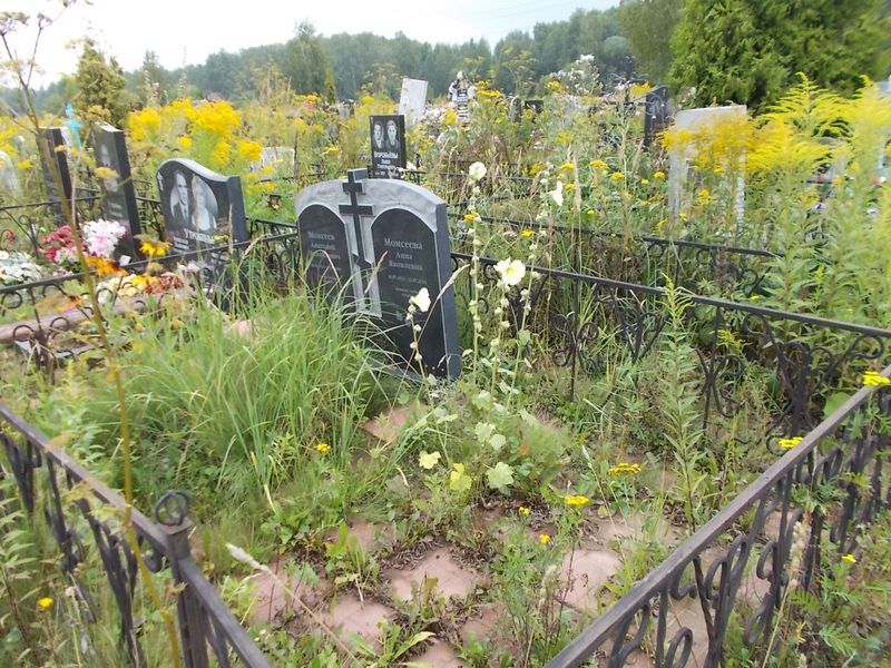 Моисеева Анна Яковлевна