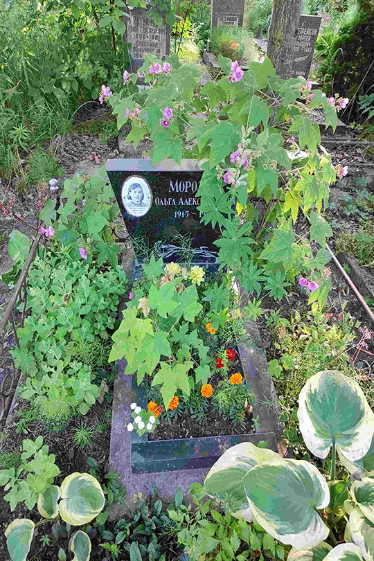 Морозова Ольга Александровна