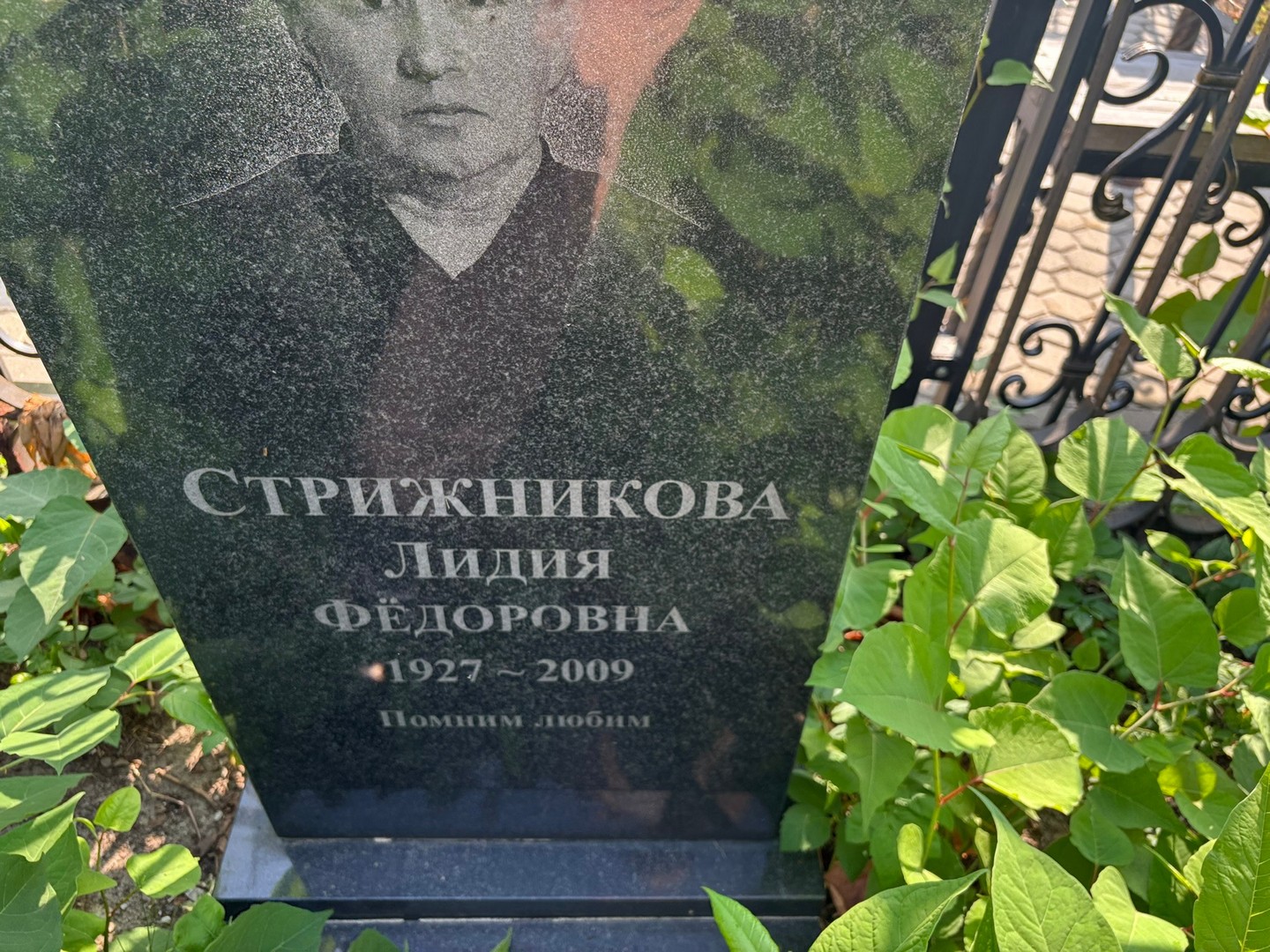 Стрижникова